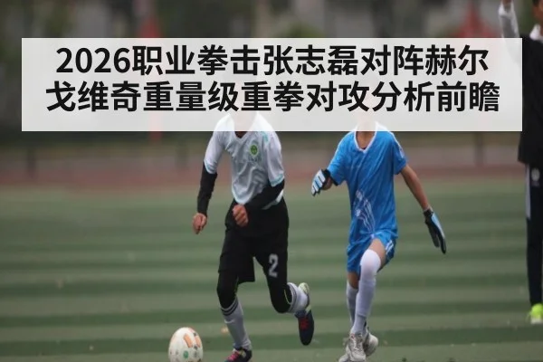 2026职业拳击张志磊对阵赫尔戈维奇重量级重拳对攻分析前瞻